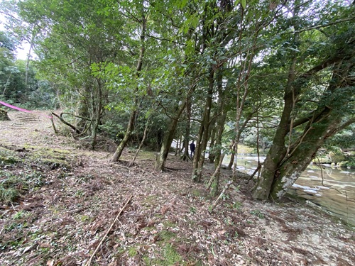 扇落としの滝の遊歩道近くの場所