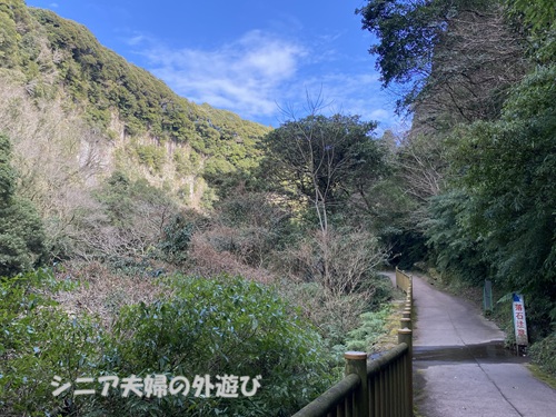 雄川の滝のよく整備された遊歩道