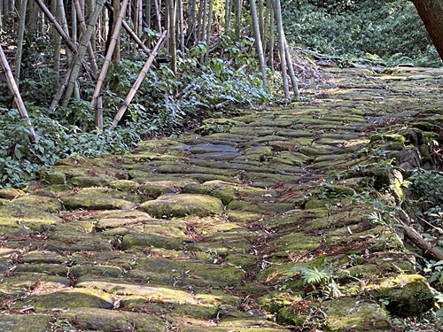 緑の苔むした石畳