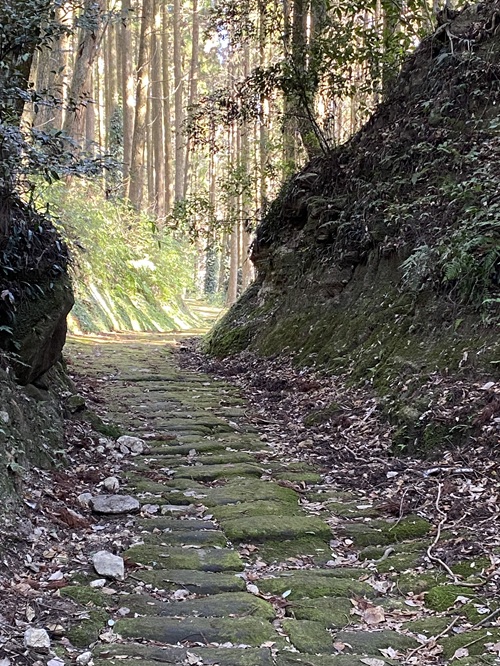 ずっとつづく苔のついた石畳