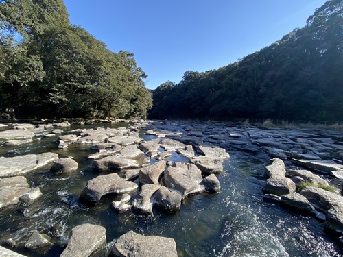 関之尾の滝の上流