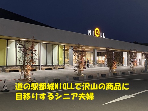 道の駅NIQLLで沢山の商品に目移りするシニア夫婦