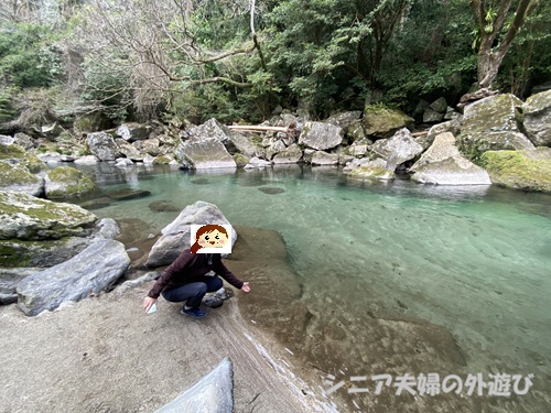 雄川の水辺