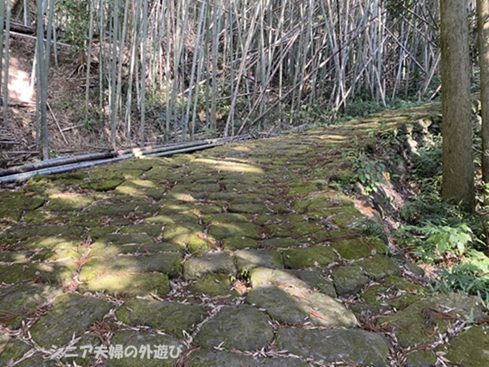 龍門司坂の苔の生えた石畳の急な坂
