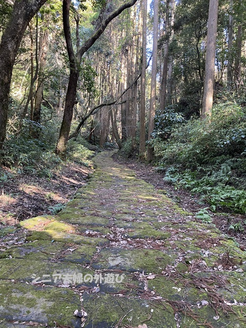 木立の中をのびる石畳