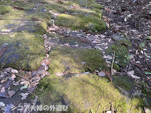 龍門司坂の陽が差すと緑が映える石畳