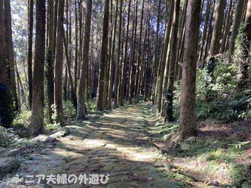 西南戦争で薩軍が熊本へ進軍した道の龍門司坂