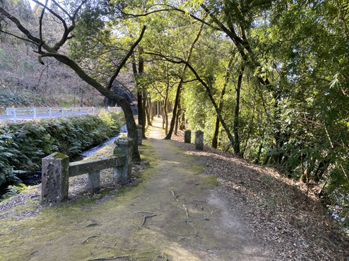川に向かう道