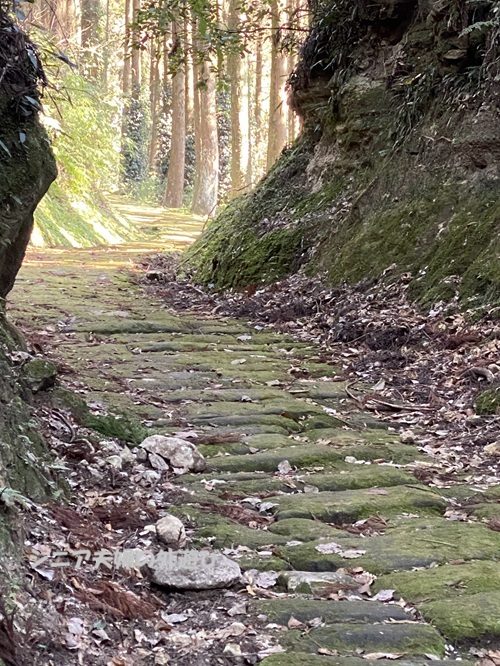 龍門司坂の光の中に続く石畳