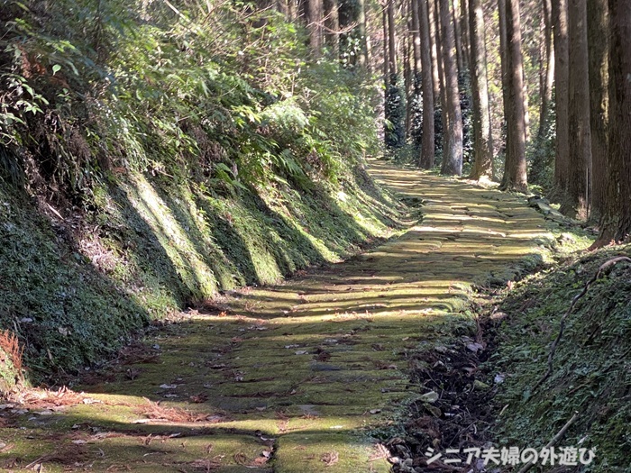 苔の生えた石畳の続く道が綺麗な龍門司坂