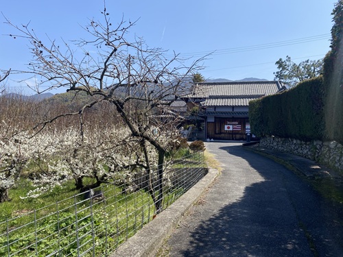 ハワイ移民資料館への道