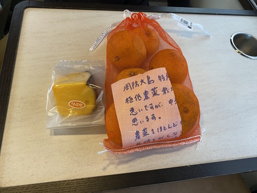 道の駅サザンセトとうわで購入したお土産
