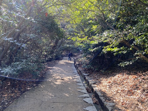 弥山に向かう上り路