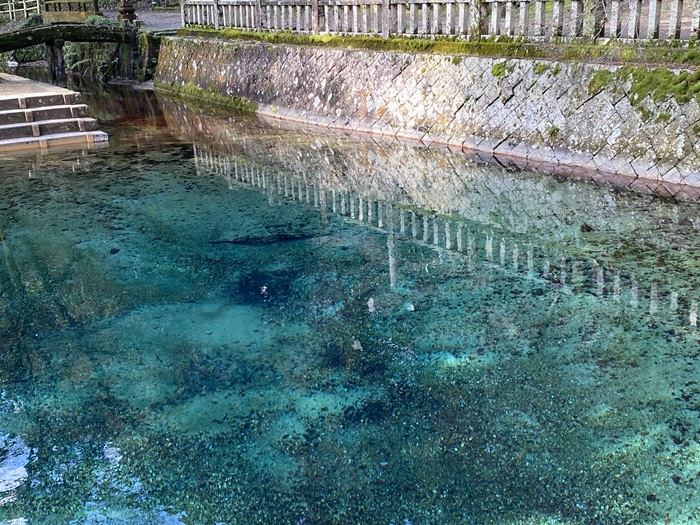 青とエメラルドグリーンが混じる池の色