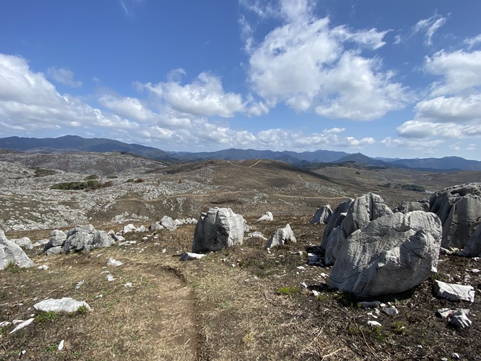 冠山からの風景