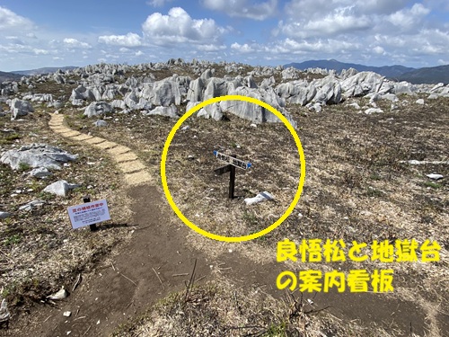良悟松と地獄台の分かれ道