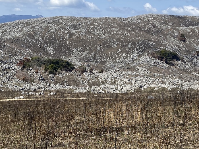北山の途中の道の風景