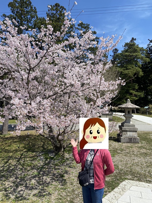 桜と記念撮影するさっとん