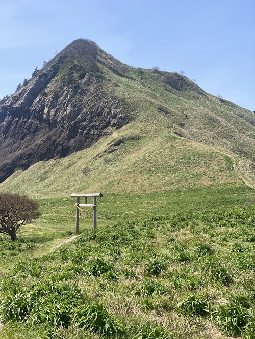 大野亀と鳥居